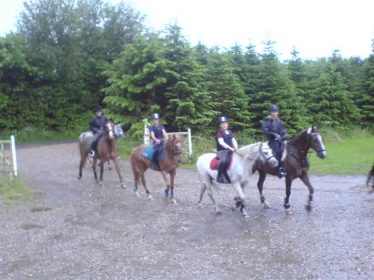 Anden særlig race Mille <33 SOLGT :'( - Da vi havde været ude og skridte en lang tur:) det var hyggeligt<33 billede 3