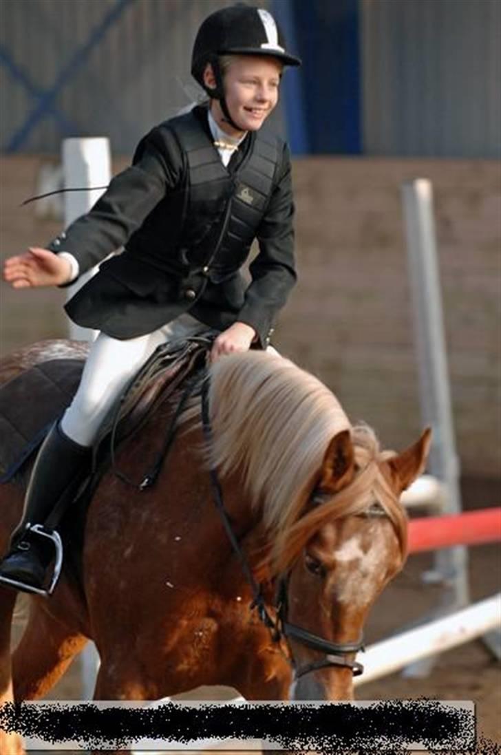 Anden særlig race Mille <33 SOLGT :'( - fejlig fri runte. 2 plads billede 7