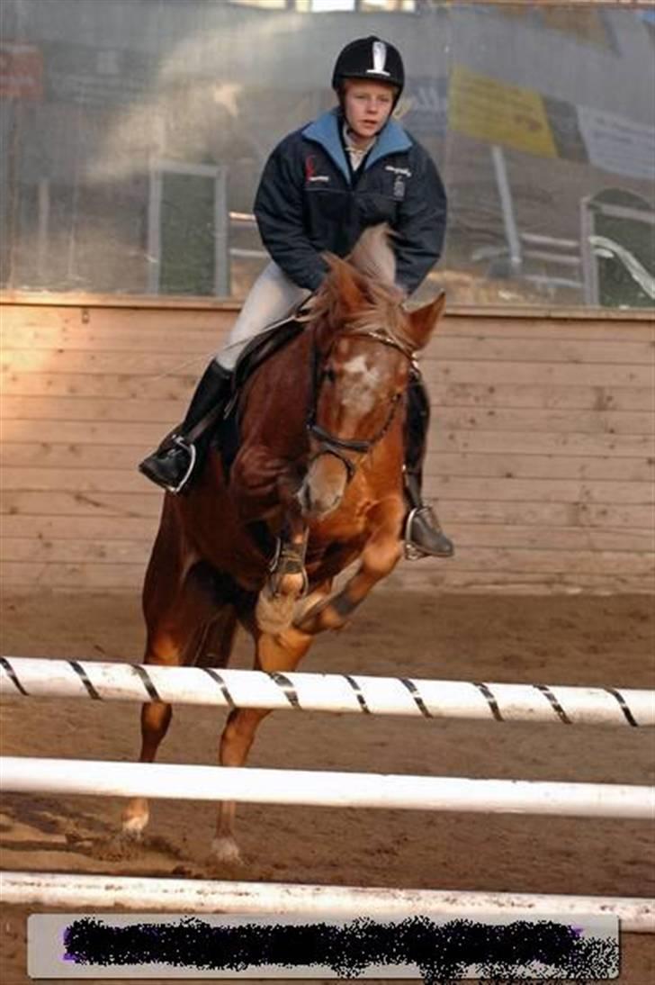 Anden særlig race Mille <33 SOLGT :'( - Til spring stævne.<33 billede 8