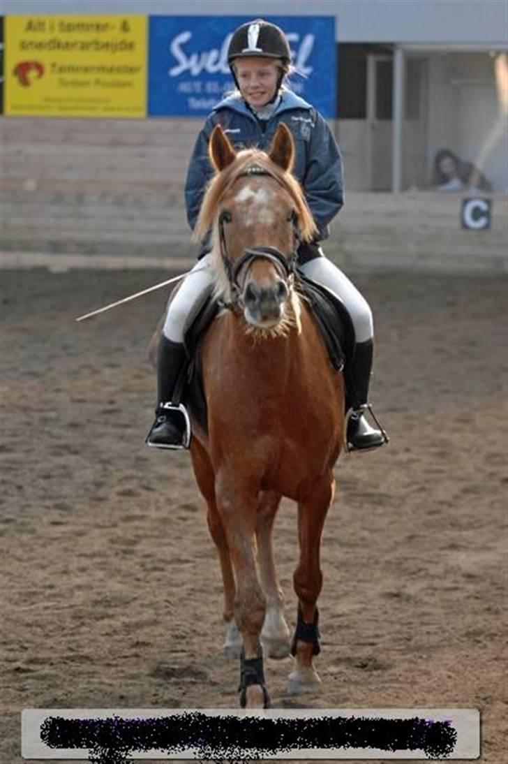 Anden særlig race Mille <33 SOLGT :'( - Vi blev sendt end til præmje over rækkelse<33 billede 9