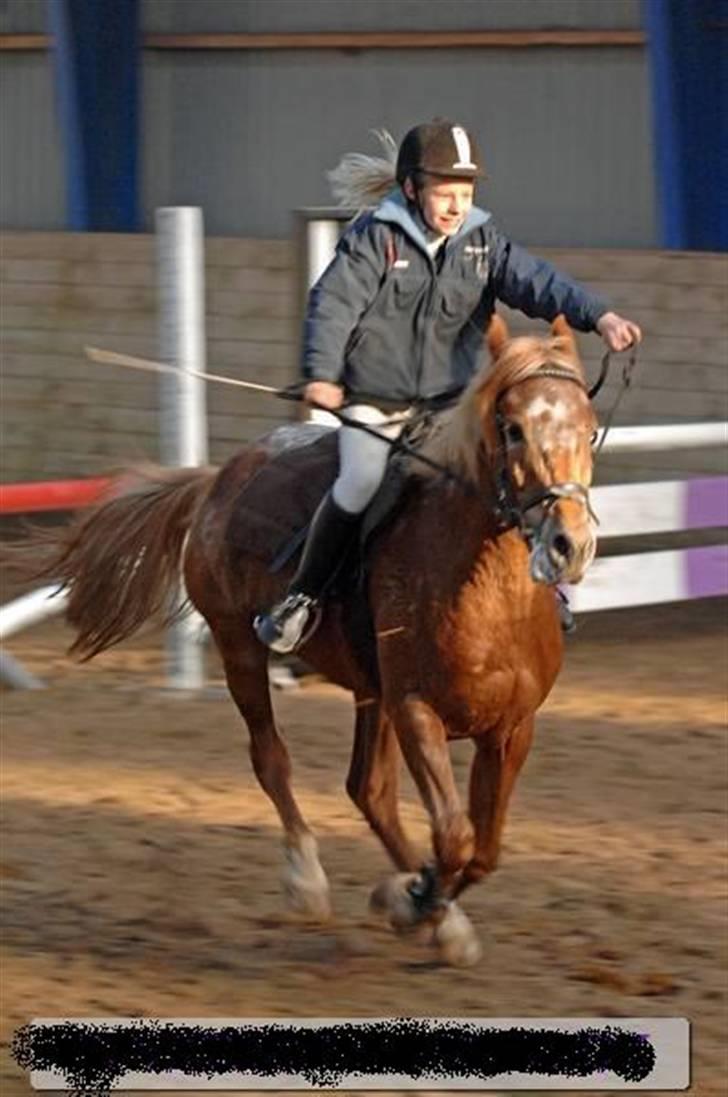 Anden særlig race Mille <33 SOLGT :'( - æres runte.<33 billede 10