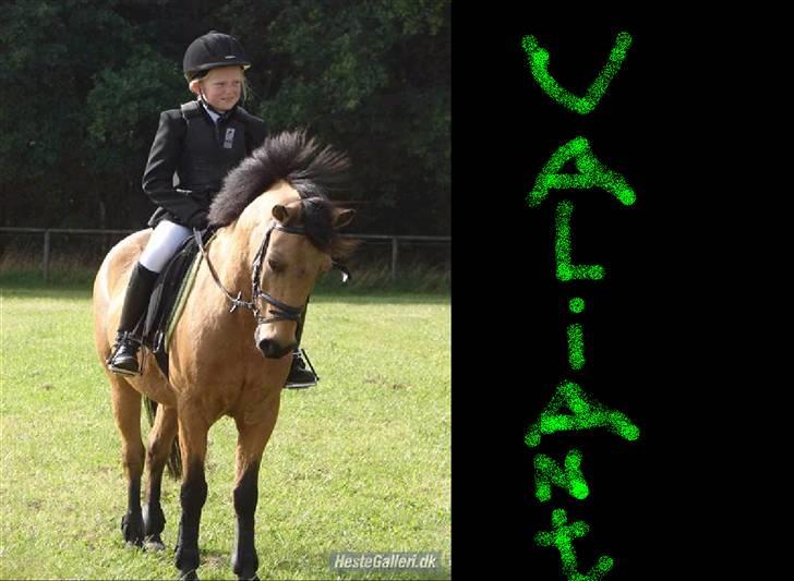 Anden særlig race Løvlunds Prins Valiant - haha haha heh :)  billede 14