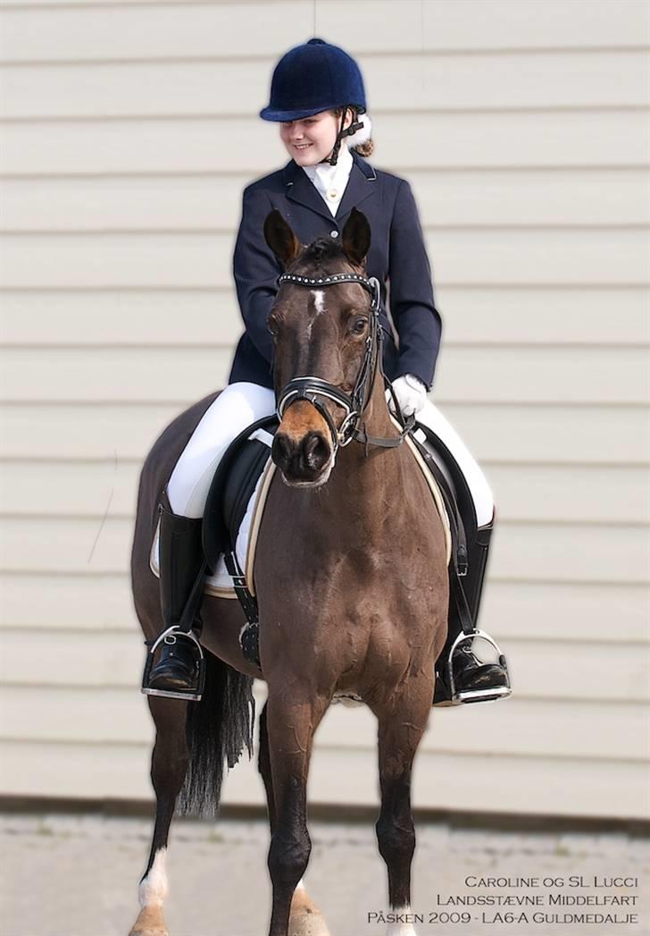 Tysk Sportspony SL Lucci - Første landsstævne :) Middelfart 2009 april LA6 nr. 1 :)  billede 3