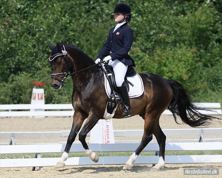 Tysk Sportspony SL Lucci - Galop til landsstævne i Hjallerup foto: benedicte billede 12