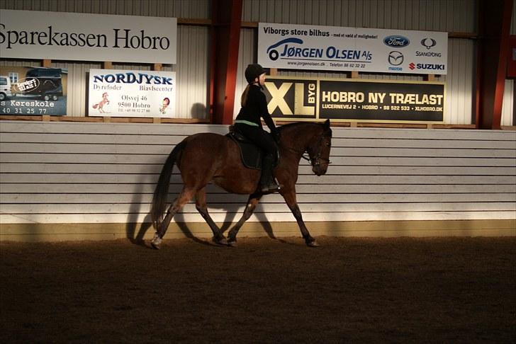 Anden særlig race Wanja<3  - Bjørg = Se Elisabeth går Wanja ikke flot?? Wanja = Jeg går ALTID godt ;b billede 3