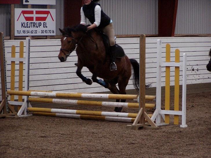 Anden særlig race Wanja<3  - <3<3 billede 5