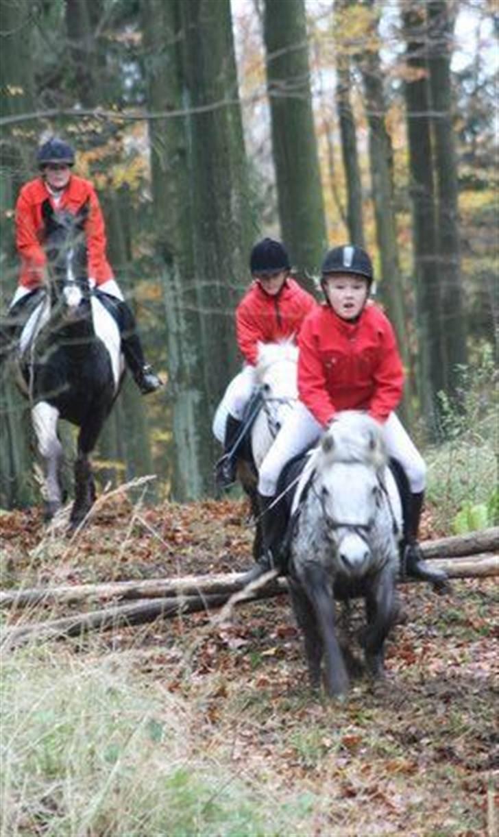 Anden særlig race star billede 6