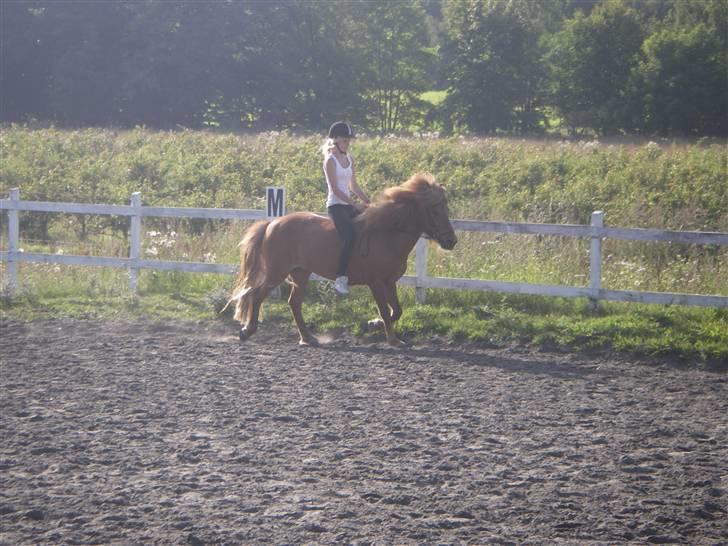 Islænder Ásta 002 fra Frederiksdal - (foto: min mor eller anja) d. 6 aug 09 - 3 gang jeg red på Ásta efter et halvt år! :) og enda første gang jeg rider uden saddel på hende! :) billede 8