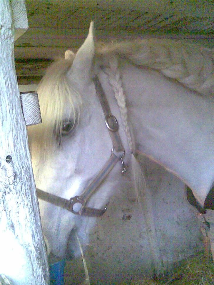 Anden særlig race fantasie - det er kedeligt det her billede 13