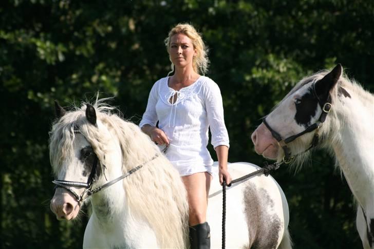 Irish Cob saint Epona of Killarney - En dejlig sommer-dag m.flere på tur billede 11
