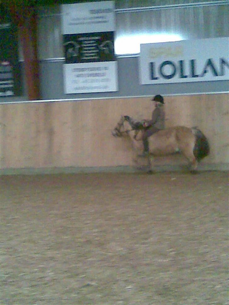 Anden særlig race felix - han var virkelig fræk billede 14