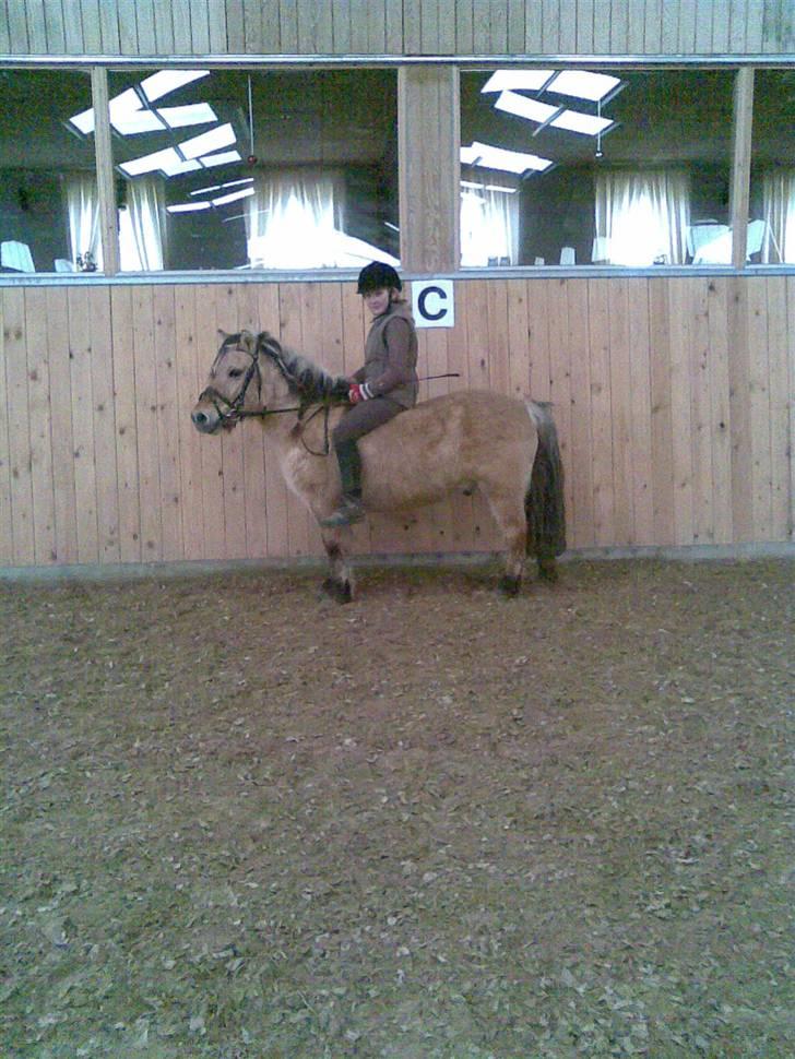 Anden særlig race felix - efter lidt trav billede 15