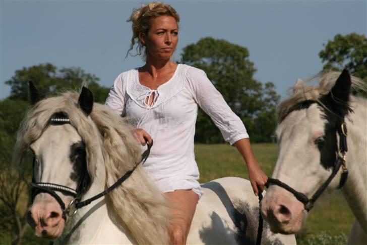 Irish Cob saint Epona of Killarney - En af mine ynglings ridt -m. håndholdt hest billede 12