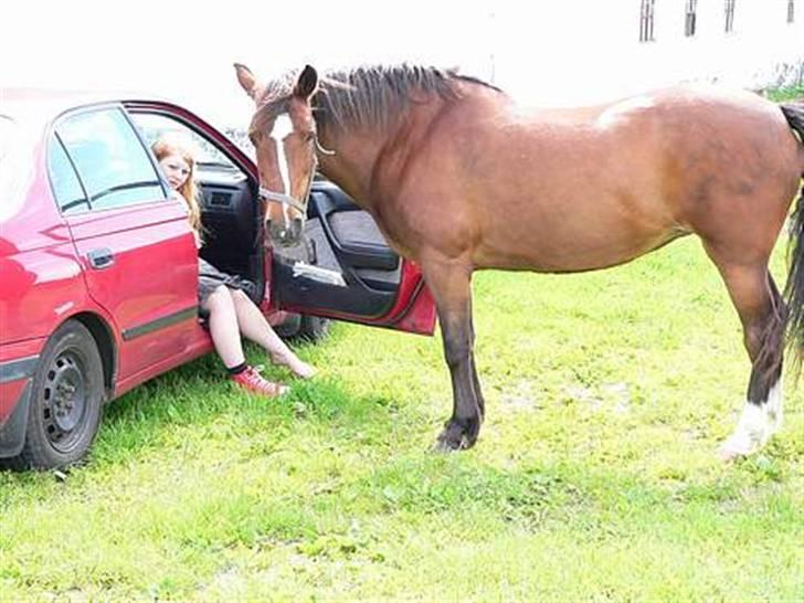 Anden særlig race Pipi *Død* - Hun havde lige trådt mig over foden og gad ikke flytte sig =)  billede 1