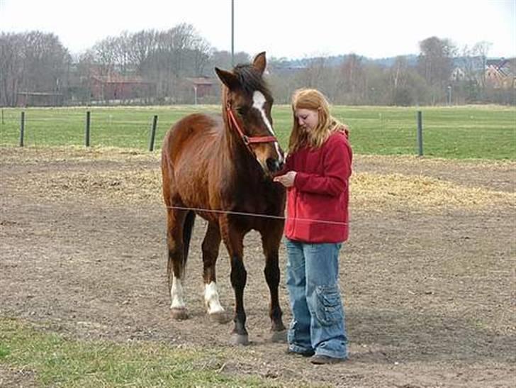 Anden særlig race Pipi *Død* - =) billede 3