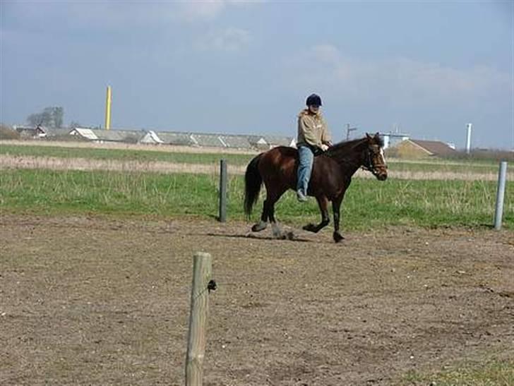 Anden særlig race Pipi *Død* - Begyndte at ride meget uden sadle på hende, det var så hyggeligt =) billede 4
