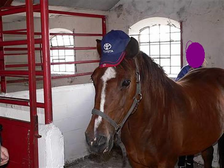 Anden særlig race Pipi *Død* - Og så reklamere vi for toyota =D billede 6