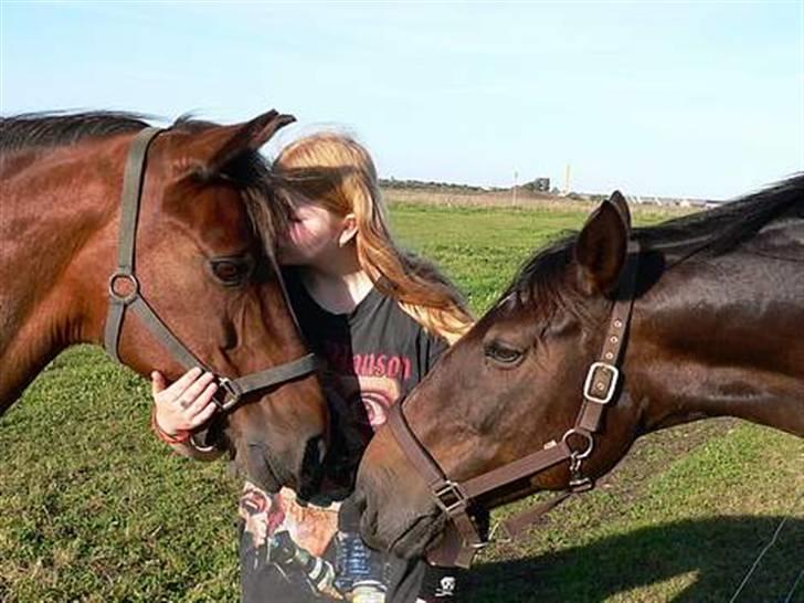 Anden særlig race Pipi *Død* - Pipi og Tana<"3 de var begge mine.. Pipi blev aflivet 1½ år før Tana pga gigt, og Tana aflivet pga hun blev urtolig syg og kunne ikke helbredes =´( billede 8
