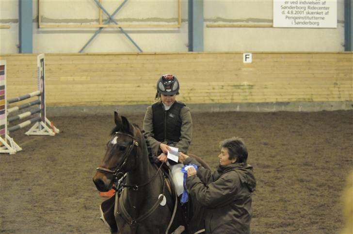 Anden særlig race Mr. Playboy - vi blev nr. 2 I MB´en på sønderborg rideklub billede 11