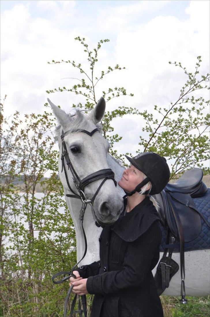 Dansk Varmblod Smilla af Lyngholt - min prinsesse. billede 9