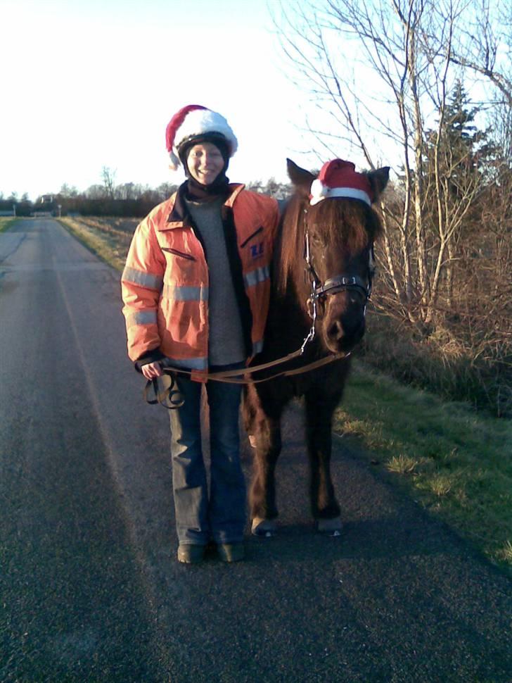 Islænder Vikingur fra Sejershøj - På vej hjem fra jule aftens tur, skønt vejr vi havde ;) billede 18