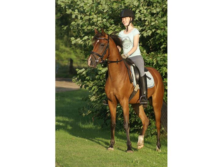 {{currentPhoto.altText}} billede {{currentPhoto.number}}