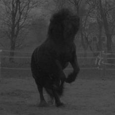 Frieser Wander ***SOLGT***