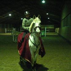 Anden særlig race Prins 