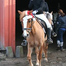 Anden særlig race o´malley<3<3 (miss you) 