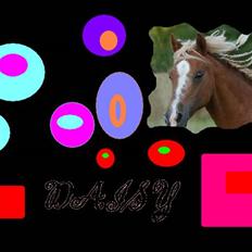 Welsh Mountain (sec A) Min søde pony Daisypigen
