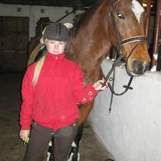 Dansk Varmblod Ghislaine