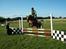 Haflinger Bosse *EUR* - Det var dengang alting var godt... Sommer 09 Foto: Sandra