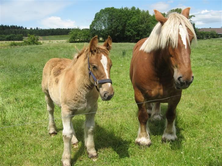 Jyde Nynne - det her er så Nynne som lille  : foto miig billede 9