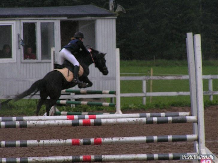 New Forest Lundtoft bendii - La, Boller. billede 11