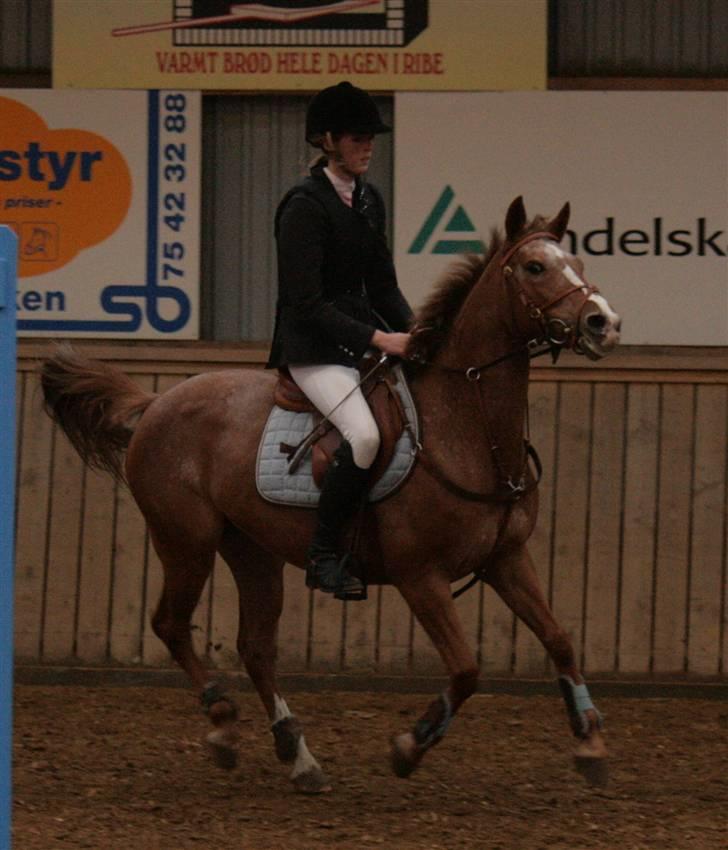 Anden særlig race SWEET CHERRY {b-pony} - mig og cherry :) billede 15