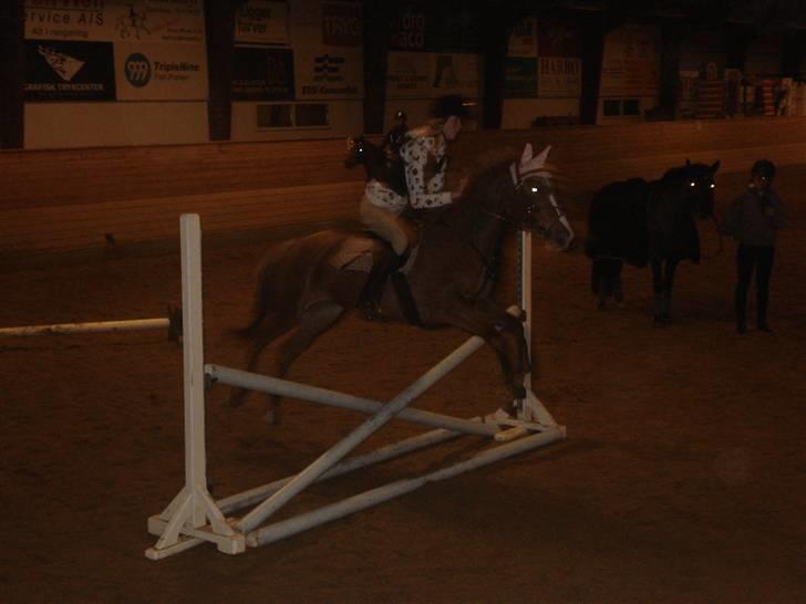Anden særlig race SWEET CHERRY {b-pony} - 2008 billede 16