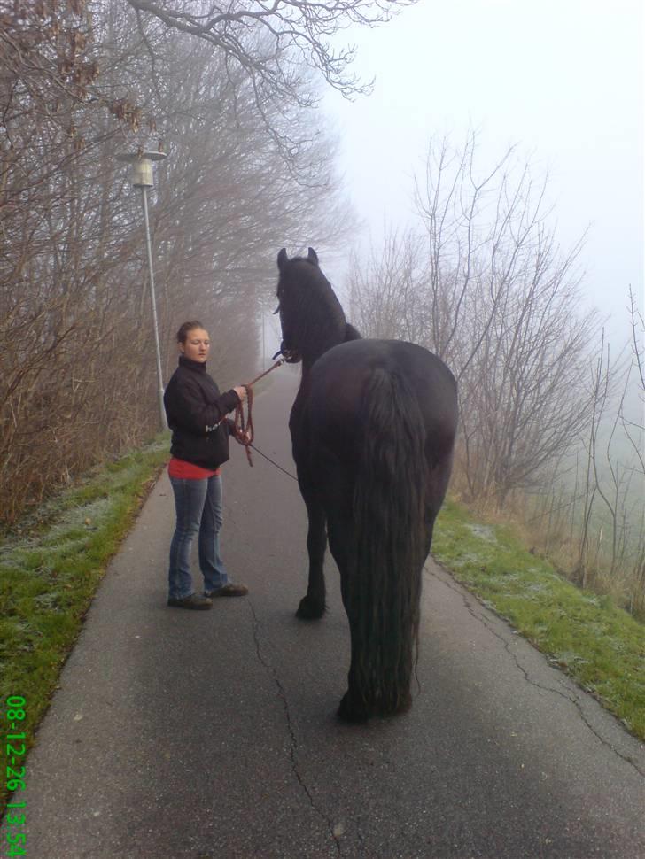 Frieser Wietske - Ude og gå en lille tur . billede 3