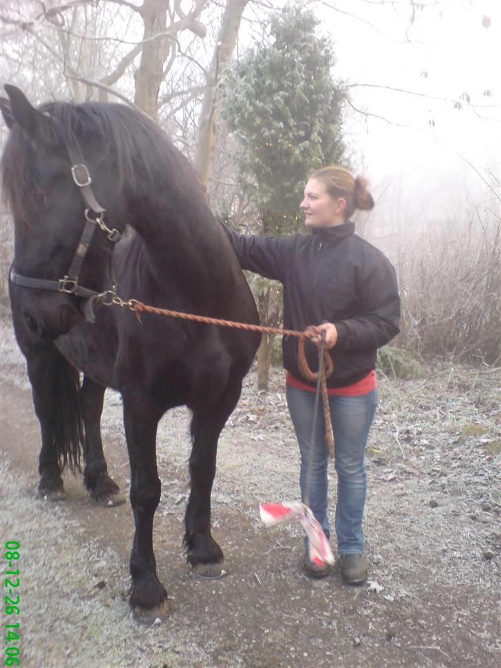 Frieser Wietske billede 5