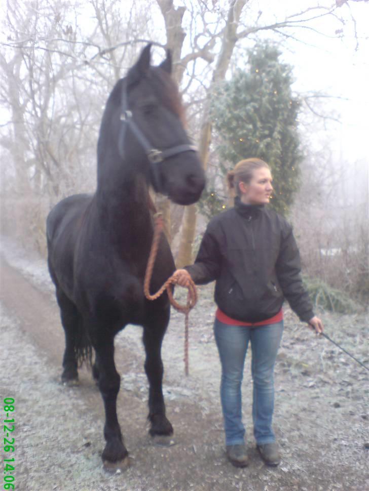 Frieser Wietske - hmm, noget spændende ? billede 6