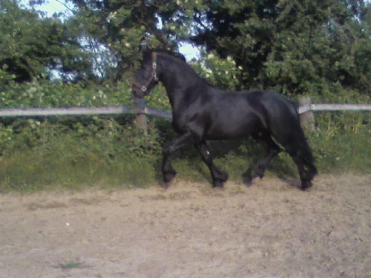Frieser Vabis billede 8