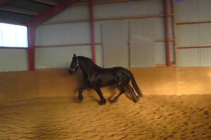 Frieser Vabis - Vabbe i hallen <3 billede 14