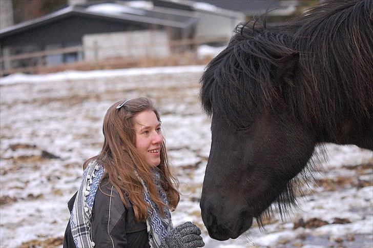 Islænder Fina fra Skiveren*Solgt! - 19# Sweet [fotograf: Isabella) billede 19