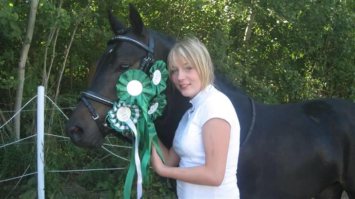 Tysk Sportspony Dr. Doolittle (solgt) billede 10