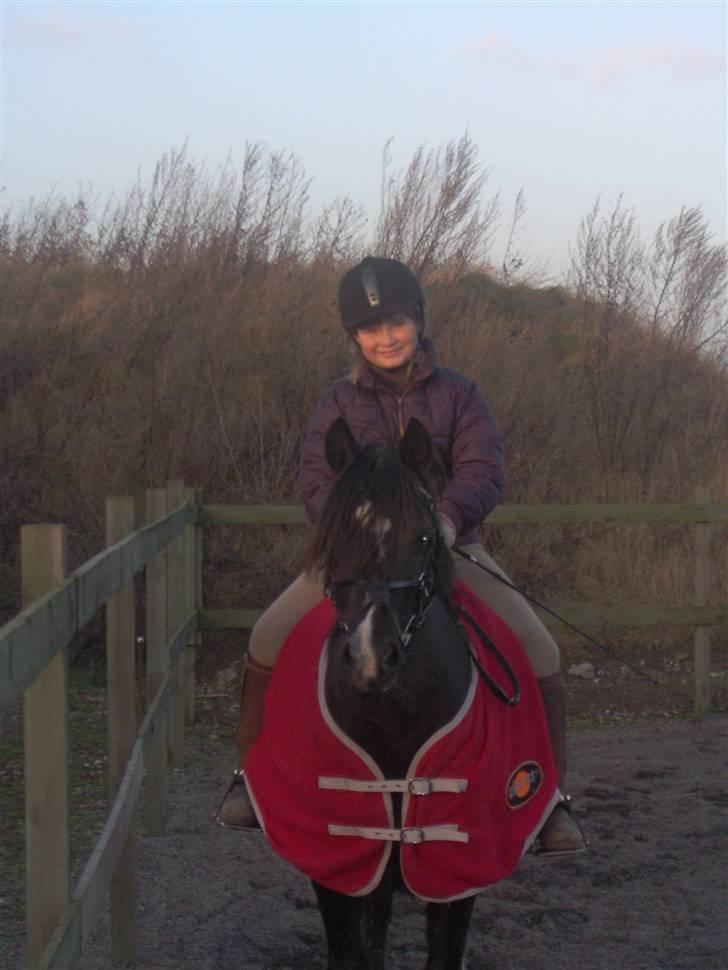 Welsh Pony (sec B) Duchess *Savnet* - Her er Jeg og Duchess, 2 år siden nu billede 9