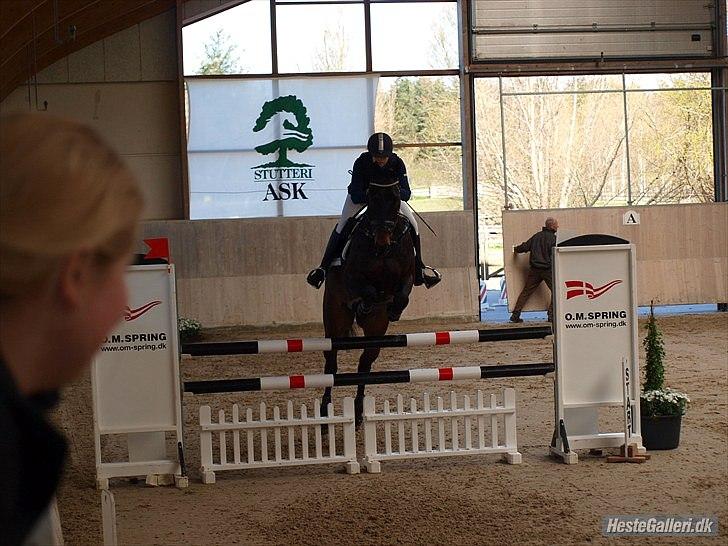 Oldenborg O'malley  - Stævne på ASK billede 11