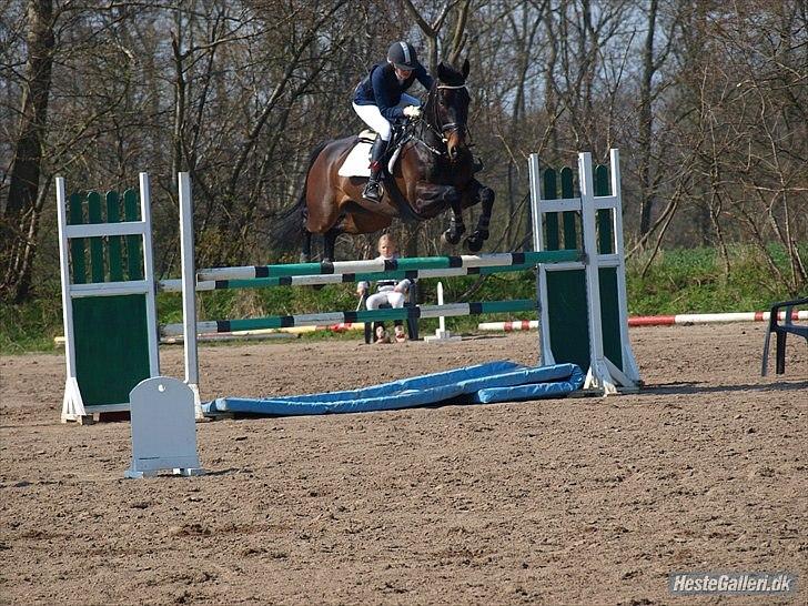 Oldenborg O'malley  - Mb på allerup billede 13