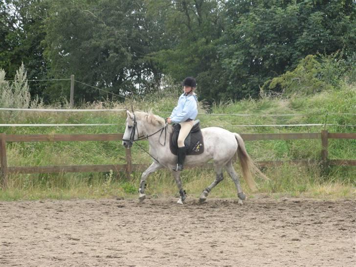 Anden særlig race Zizika Solgt & Savnet!!!! - GAMMEL :D meen se hvor glade vi begge er p.s jeg er bare konceteret :D billede 11