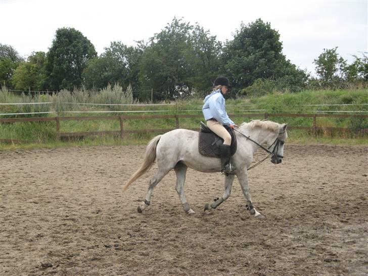 Anden særlig race Zizika Solgt & Savnet!!!! - Gamllet men godt :_) billede 12