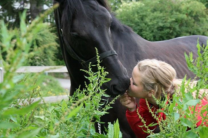 Dansk Varmblod Ascot *aflivet* R.I.P<3 - 11] *NYT* Hygge på folden <3 Elsker dig skat og det vil jeg altid gøre! Hvil i fred, min sorte engel. Du betyder alt! [Taget af: Id <3] billede 11