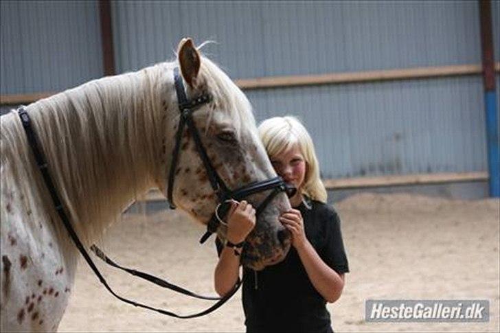 Anden særlig race julius <3 billede 1